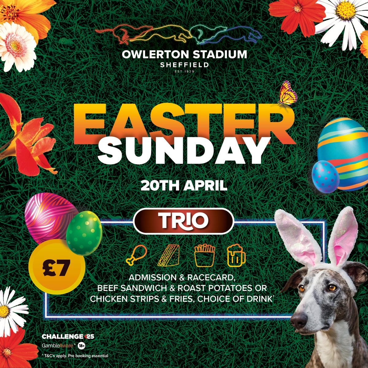 🐣 Celebrate Easter Sunday at Owlerton! 🐣

Join us for a fun-filled day with greyhound racing and delicious food!

🍖 Roast beef sandwich &amp; roasties or crispy chicken &amp; chips
🎟️ Admission &amp; racecard
🍻 A drink
Book now: tinyurl.com/5ejbh94m

#EasterSunday #GreyhoundRacing