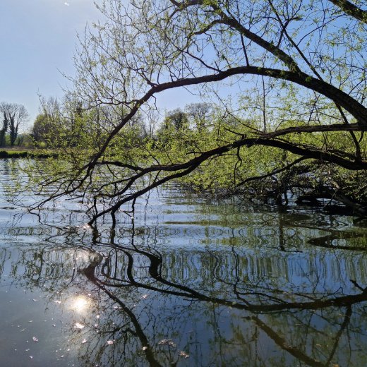 Withymead Nature Reserve tweet media