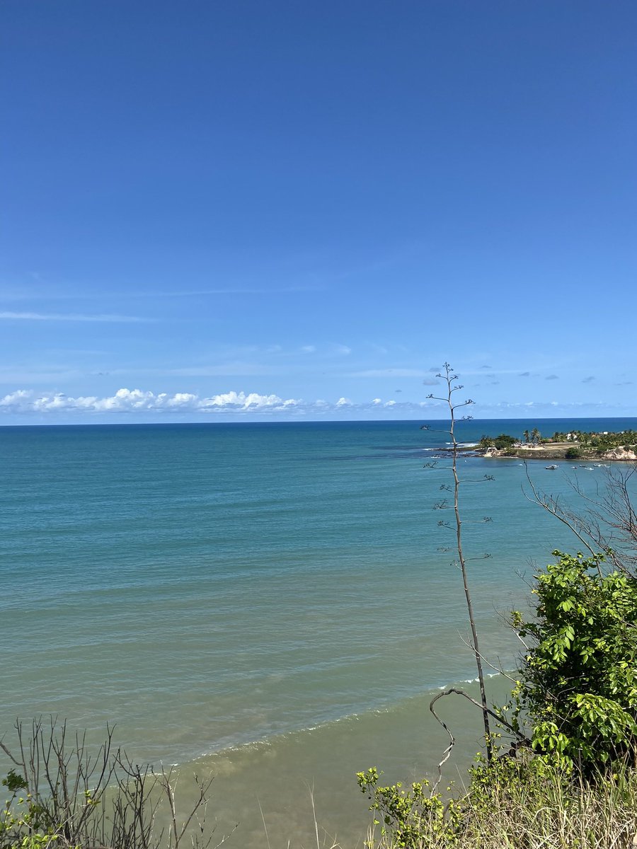 Bom dia, sábado! Que o som das ondas acalme a alma e que a brisa do mar nos lembre do cuidado constante de Deus. Que hoje seja um dia de descanso, alegria e gratidão!
"Os céus proclamam a glória de Deus e o firmamento anuncia a obra das suas mãos." (Salmos 19:1)
Qual é o cantinho