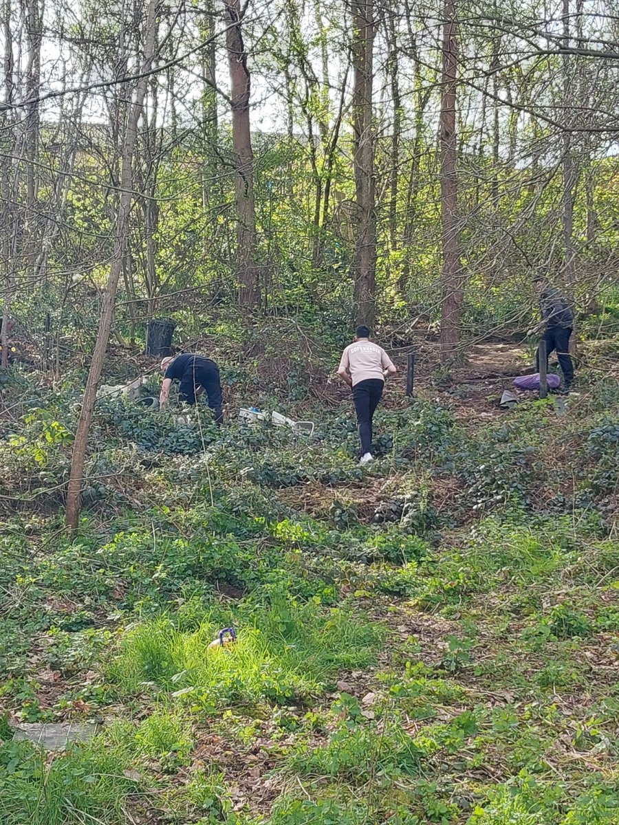HalesowenWMP's tweet photo. Halesowen NHT attended  Greenland between  Hillside Avenue and Banners Street, with Cradley Bloomers-Tidy Cradley Group this morning. To assist with the shocking  fly tipping in that area.
#workingwiththecommunity https://t.co/W6CD61LVPu