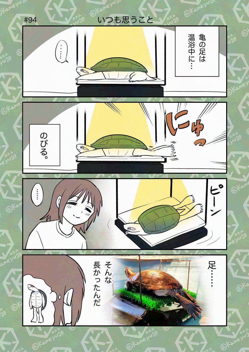 亀ページ ぎぼしのペーパーウエイト | 室金物オンラインストア