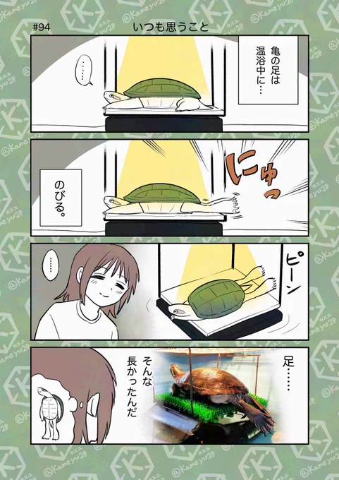 「亀飼いしか知らない世界」な4コマまとめ。(1/4)
亀の面白さ伝われ〜…!🐢
#漫画が読めるハッシュタグ 
