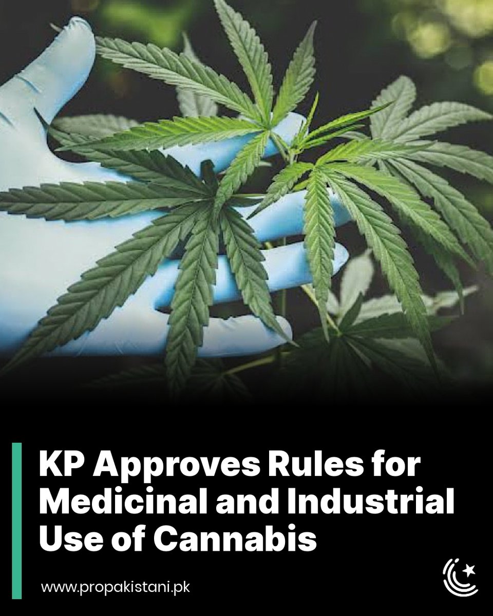 ProPakistaniPK's tweet photo. The Khyber-Pakhtunkhwa (KP) has approved the cultivation and processing of cannabis for medicinal, industrial, and commercial purposes.

Read More:  https://t.co/ugR1u1d1IA 

#khyberpakhtunkhwa #cannibis #weed https://t.co/3jJA9W3vWY