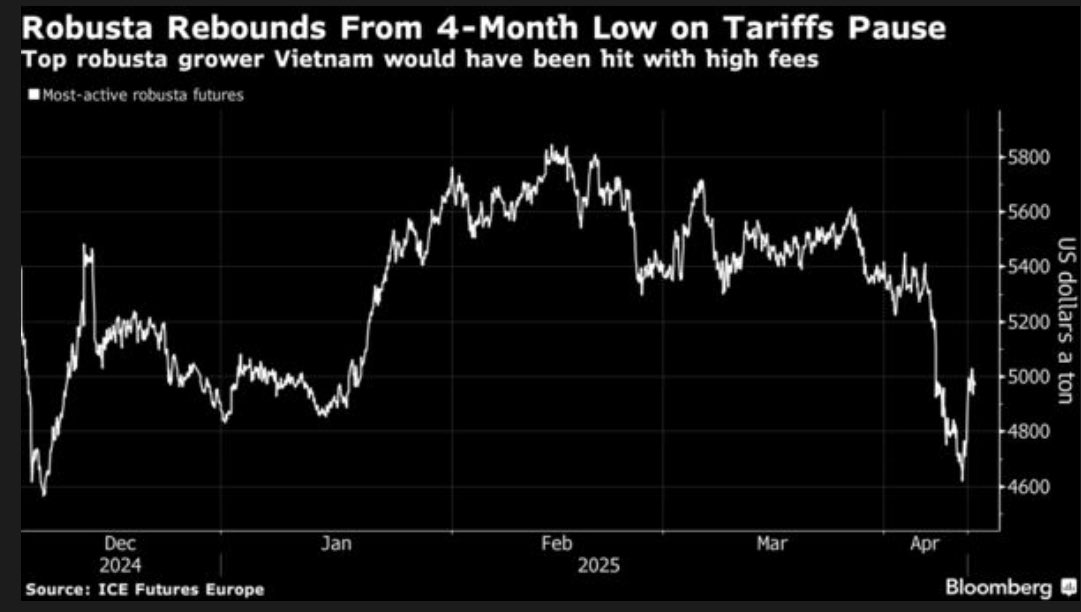 عبدالله مشاط tweet media
