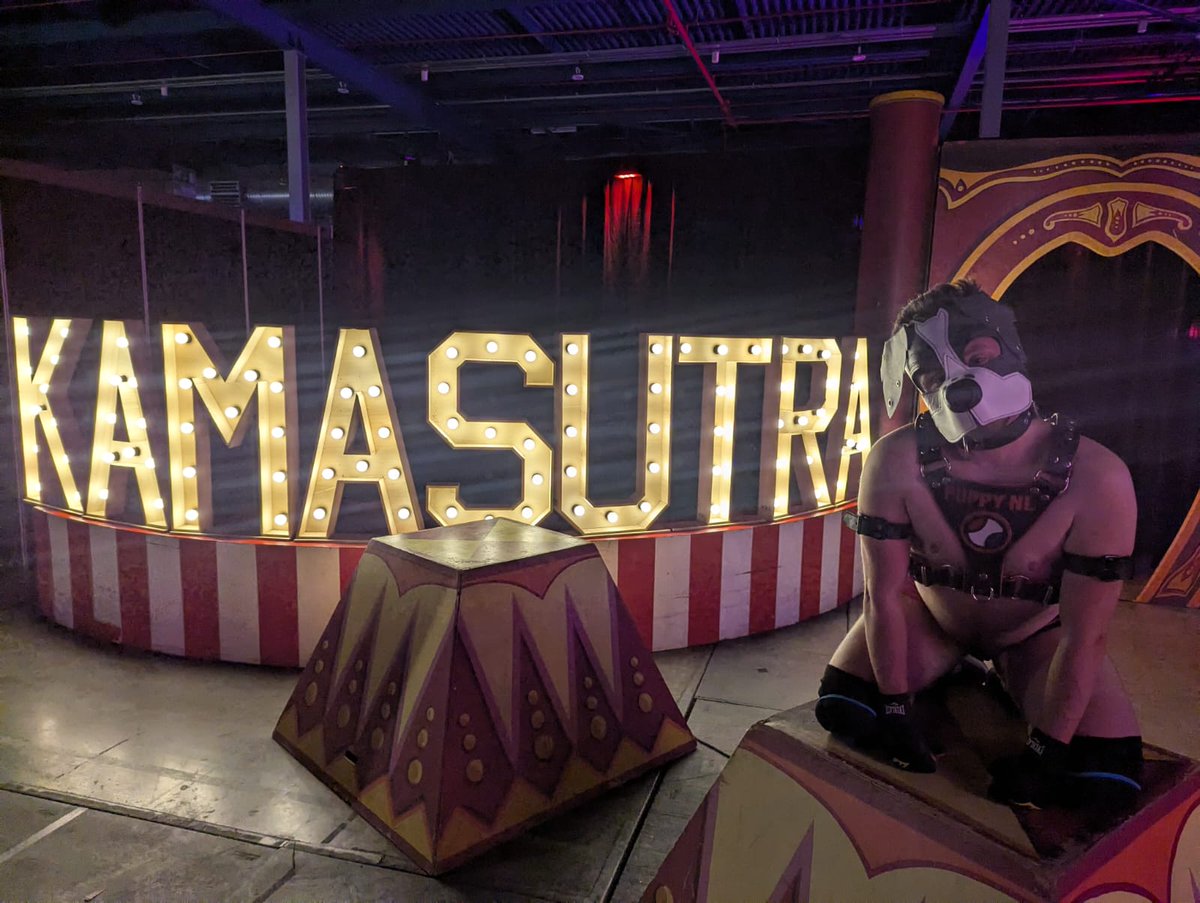 tinypupchef's tweet photo. I did a thing!
Went to the @kamasutrabeurs and had a fun evening.
Was fun to go around on all fours again! https://t.co/2drEzcNSRQ