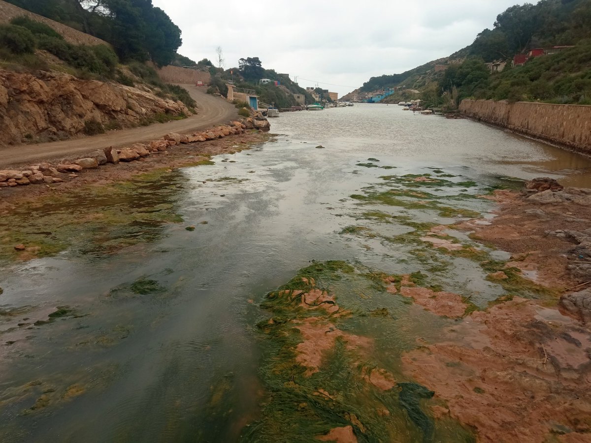 Coquer33's tweet photo. Algameca Chica-Cartagena-España https://t.co/voPt3ypVWC