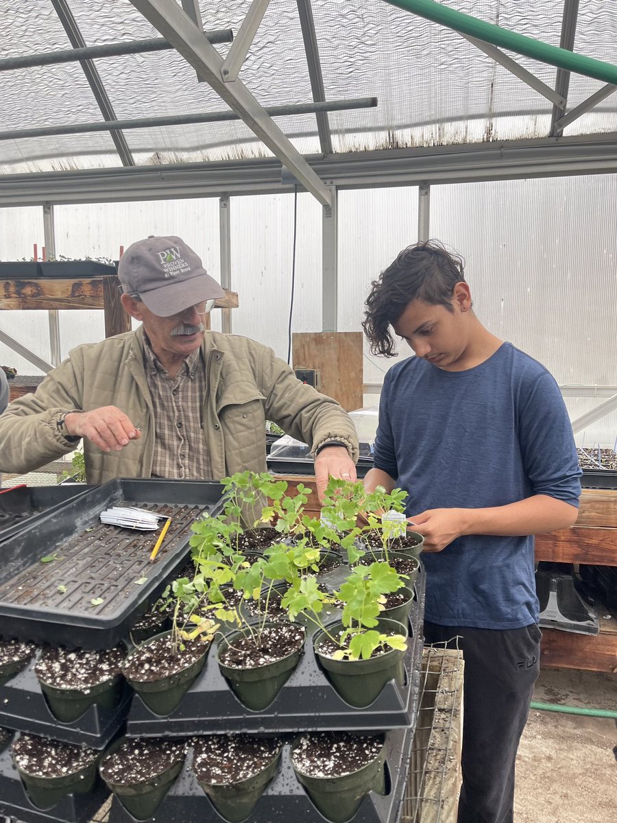 thecateyeprsd's tweet photo. The CAT EYE spies….Mr. &amp; Mrs. Cross of Blessings and Blooms LLC work with Mrs. Eggert’s &amp; Mrs. Costello’s 8th grade classes in the greenhouse!! #JHSCommunityGarden #ClimateEd #ActionforEarthNJ #ClimateChangeEducation💚💛🌸🌿💐🌱🌼
#EyeOnThePride #CatsCommUNITY #OurSchoolOurStory https://t.co/jm4MYJEF1q