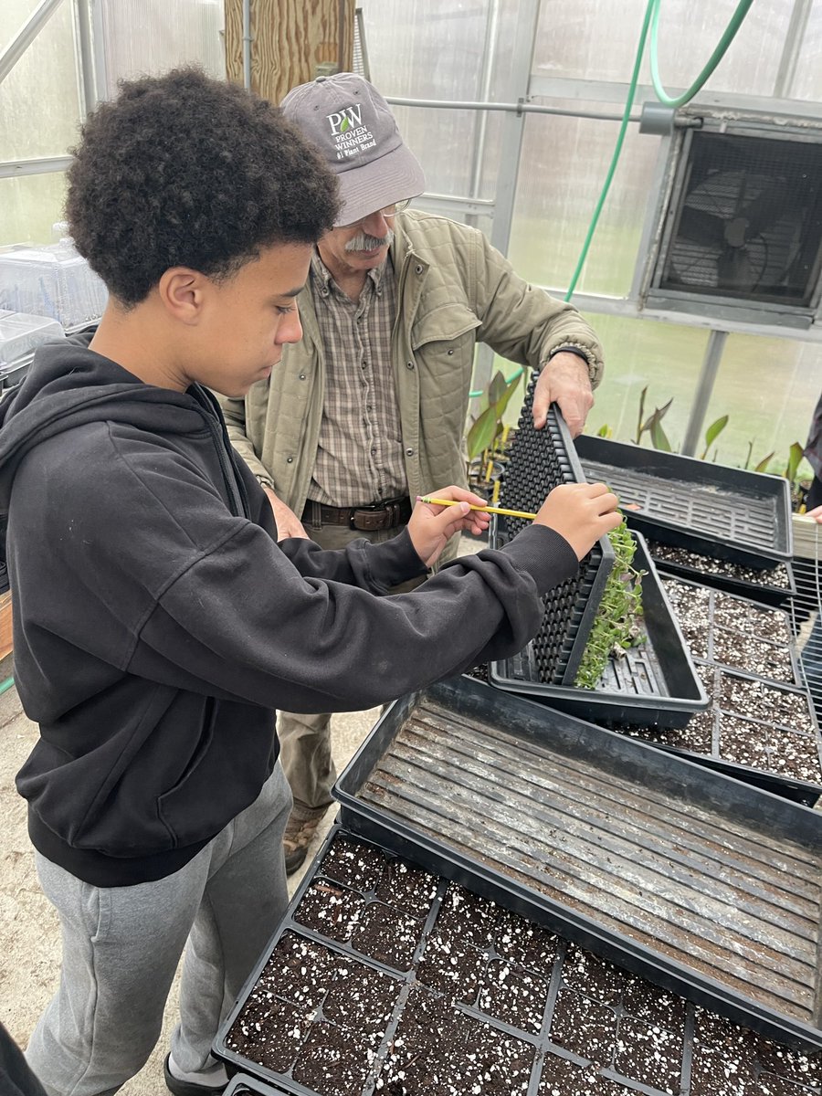 thecateyeprsd's tweet photo. The CAT EYE spies….Mr. &amp; Mrs. Cross of Blessings and Blooms LLC work with Mrs. Eggert’s &amp; Mrs. Costello’s 8th grade classes in the greenhouse!! #JHSCommunityGarden #ClimateEd #ActionforEarthNJ #ClimateChangeEducation💚💛🌸🌿💐🌱🌼
#EyeOnThePride #CatsCommUNITY #OurSchoolOurStory https://t.co/jm4MYJEF1q