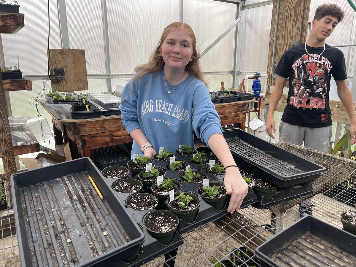 thecateyeprsd's tweet photo. The CAT EYE spies….Mr. &amp; Mrs. Cross of Blessings and Blooms LLC work with Mrs. Eggert’s &amp; Mrs. Costello’s 8th grade classes in the greenhouse!! #JHSCommunityGarden #ClimateEd #ActionforEarthNJ #ClimateChangeEducation💚💛🌸🌿💐🌱🌼
#EyeOnThePride #CatsCommUNITY #OurSchoolOurStory https://t.co/jm4MYJEF1q