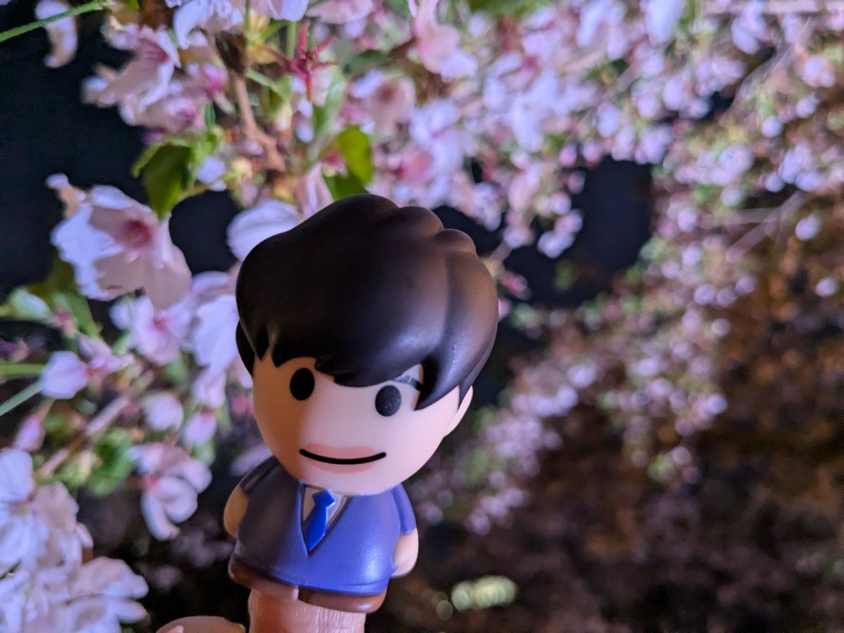 20190823_ol's tweet photo. まだまだ咲いてた https://t.co/TcweUNRaC3
