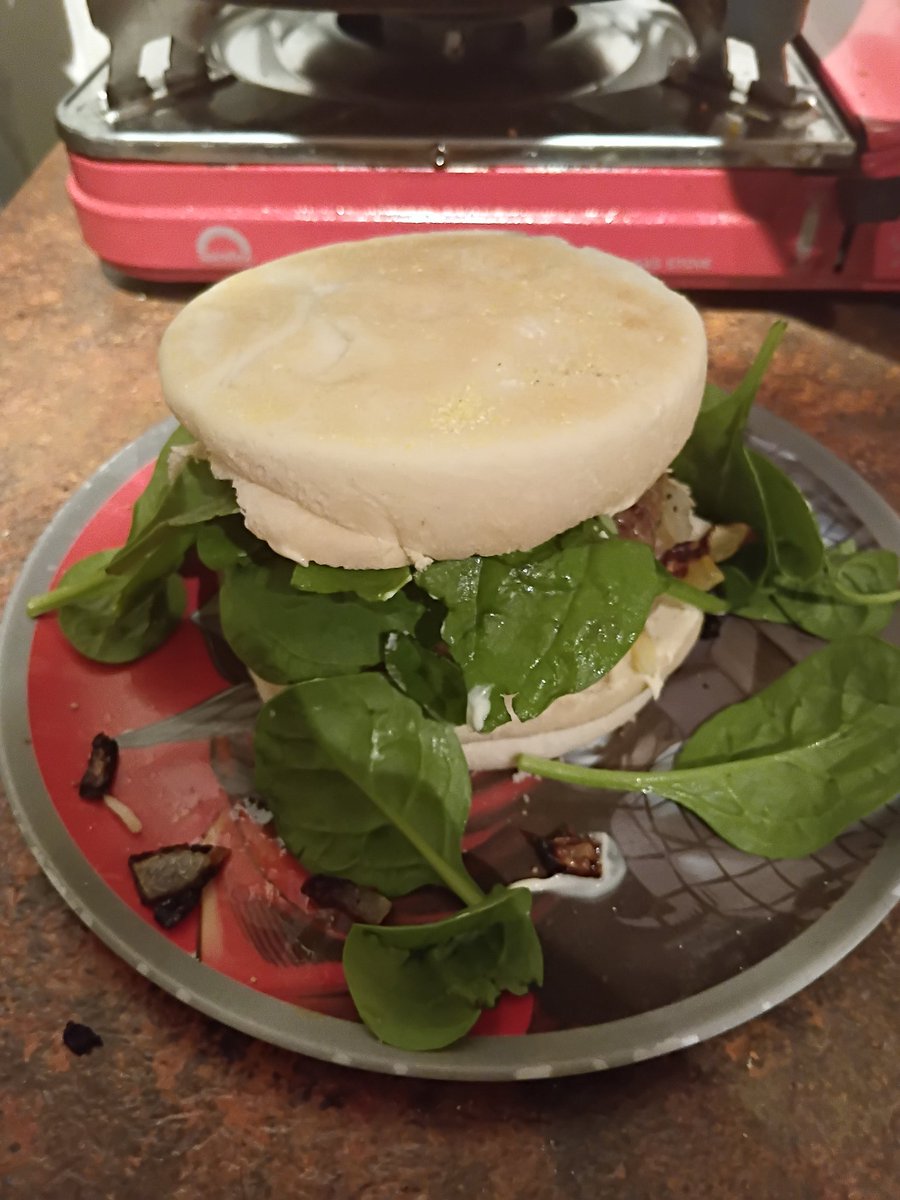 famisbobulated's tweet photo. Made a buger for dinner https://t.co/gFBuLhggRK