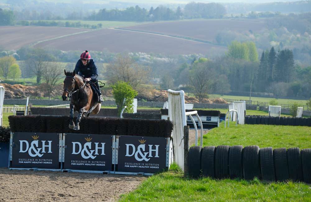 kimbaileyracing's tweet photo. What a great way to start your weekend. A morning on the gallops as booked through @Course_Distance https://t.co/9Kuei1ma8L