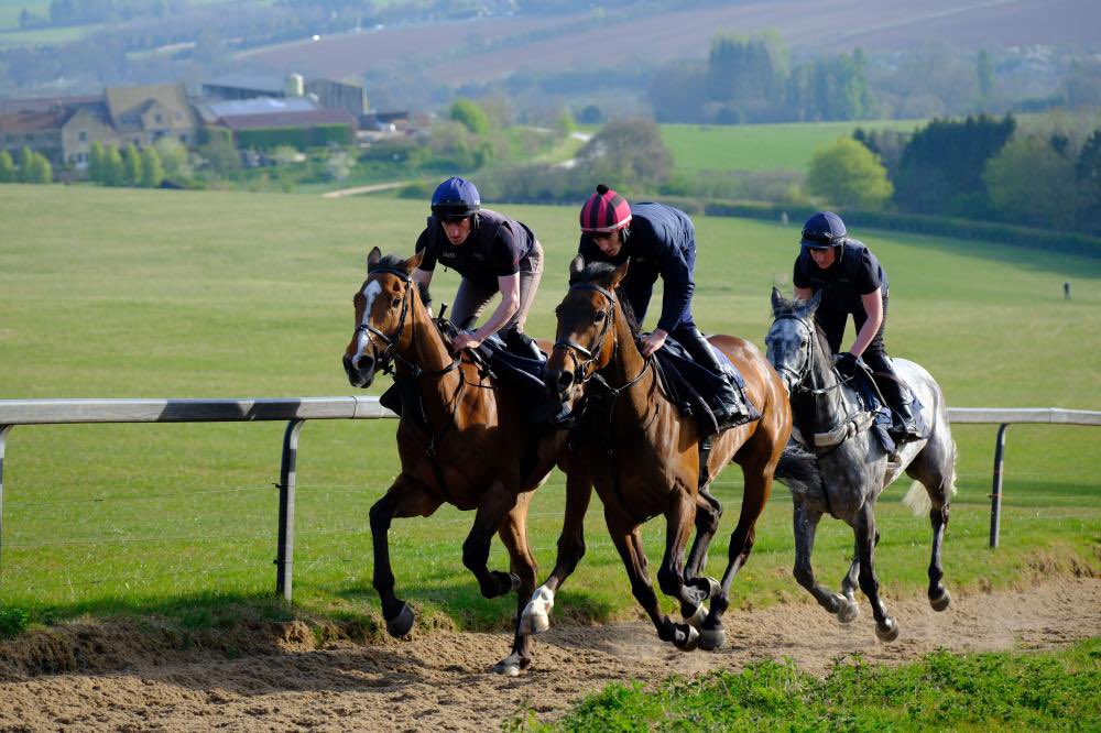 kimbaileyracing's tweet photo. What a great way to start your weekend. A morning on the gallops as booked through @Course_Distance https://t.co/9Kuei1ma8L