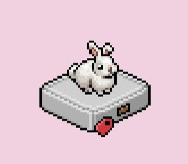 ✨Sorteo RARO Conejito de Compañía 🐇

Req:

-Dar Like + Rt
-Seguirme <a href="/maddiedc23/">-Maddie✨🫧</a> 
-Menciona 1 amigo 

20c entre los Rt 

Sorteo termina próximo sábado 19 de abril ♥️

Mucha Suerte a todos 🥰