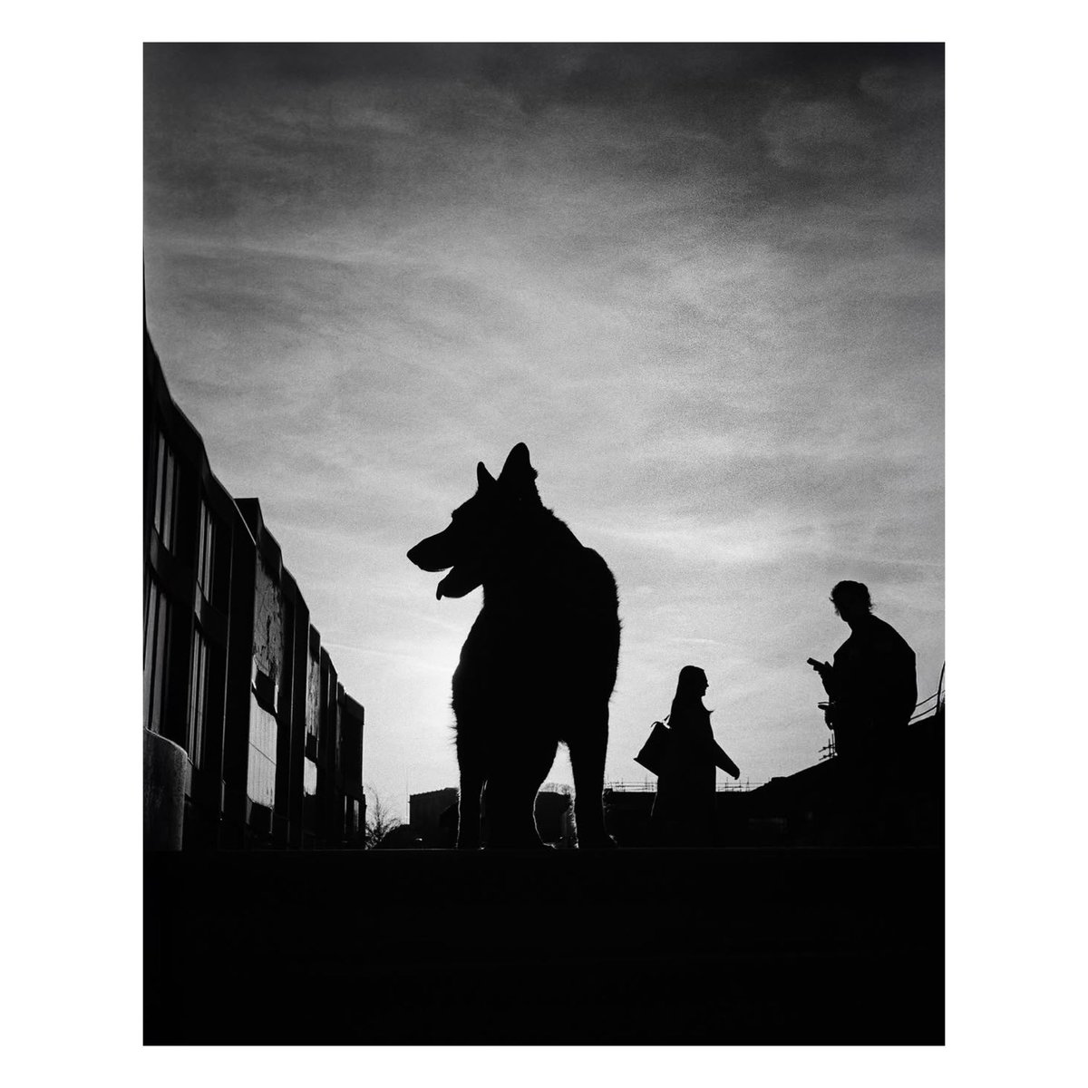 StreetShotsInt's tweet photo. This Street Shot was taken by @lextakesshots
We want to see all genres of Street Shots. Please continue to use #ssicollaborative and follow @streetshotsinternational for the chance to be featured.
#streetphotography #monochrome #bnw #blackandwhitephoto #silhouette #mansbestfriend https://t.co/GxCBL2W4Vy