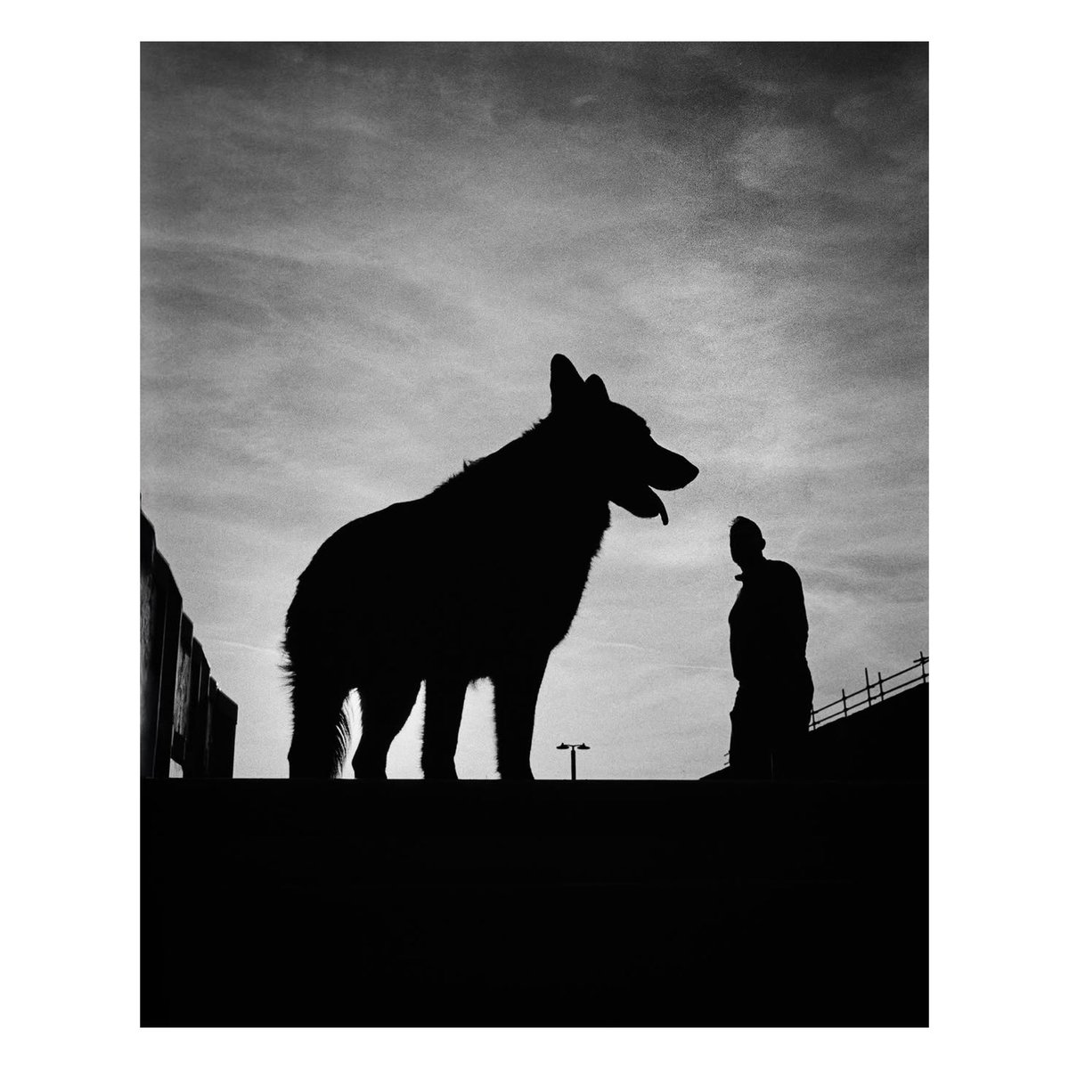 StreetShotsInt's tweet photo. This Street Shot was taken by @lextakesshots
We want to see all genres of Street Shots. Please continue to use #ssicollaborative and follow @streetshotsinternational for the chance to be featured.
#streetphotography #monochrome #bnw #blackandwhitephoto #silhouette #mansbestfriend https://t.co/GxCBL2W4Vy