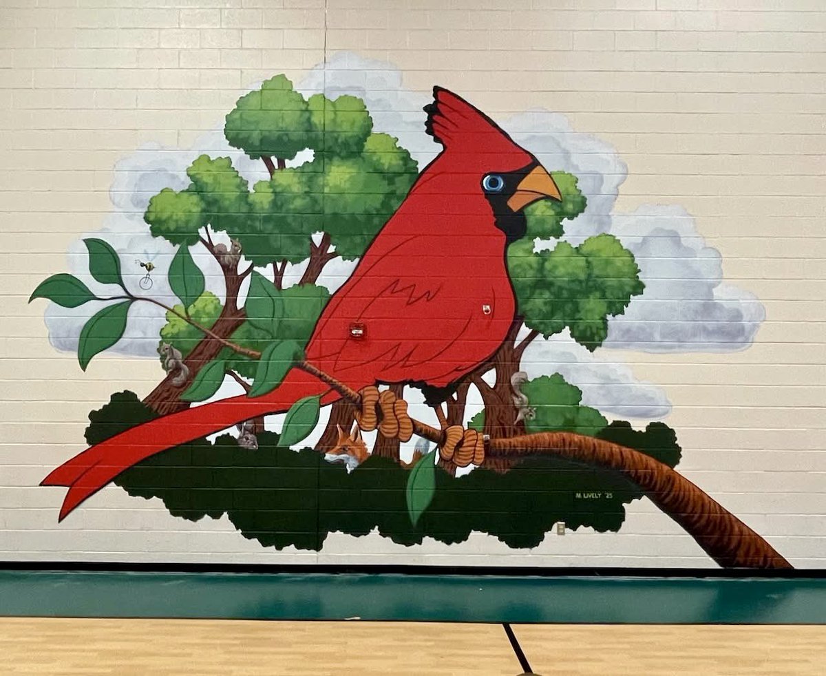dabelt3's tweet image. Richmond artist Matt Lively transformed our gym with a stunning Cardinal mural this past week! Our student reporters had the amazing opportunity to ask Matt all about his artistic process and inspiration. We are absolutely in love with the new mural that brightens up our gym!