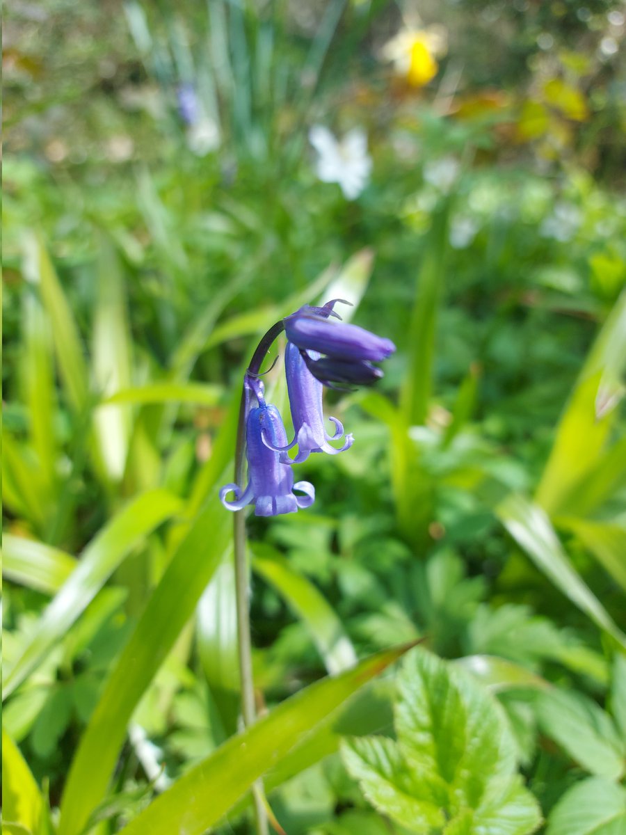 Boot and Shoe tweet media