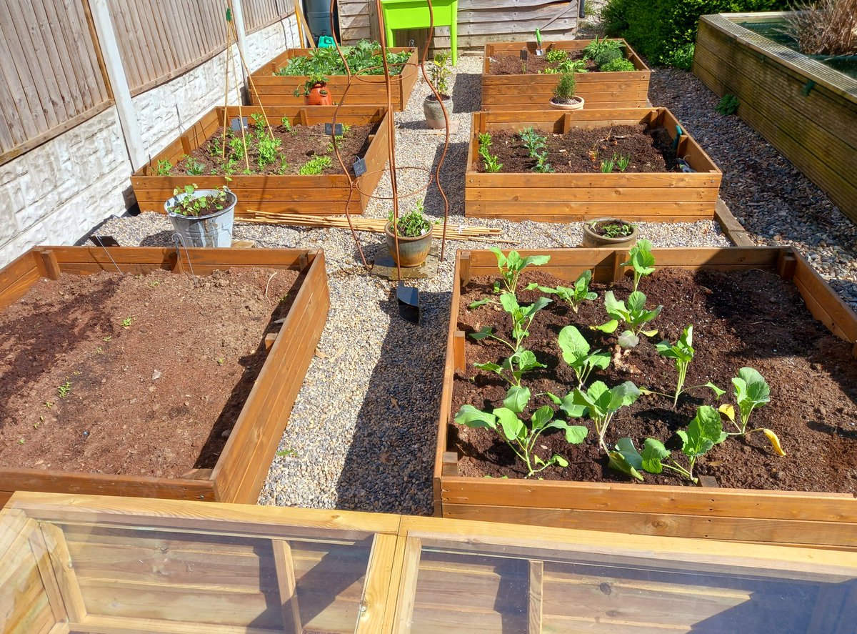 Matthew06156020's tweet photo. #spring #wildlifepond #allotment 
#gardening 
Best time of year. Everything starting to grow. Wildlife pond full of tadpoles https://t.co/glsbTAAssD