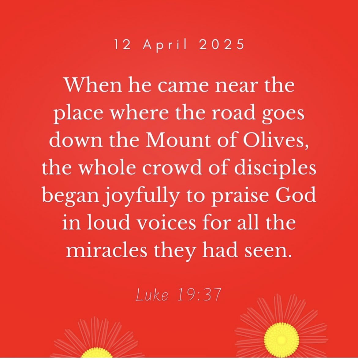 UKDivine's tweet photo. #Bible #bibleverse #LectioDivina #ReadingsOfTheDay #SaturdayMotivation #PalmSunday #Lent2025 #HolyWeek
#CatchUsDaily #Online https://t.co/7fTSm4naN4