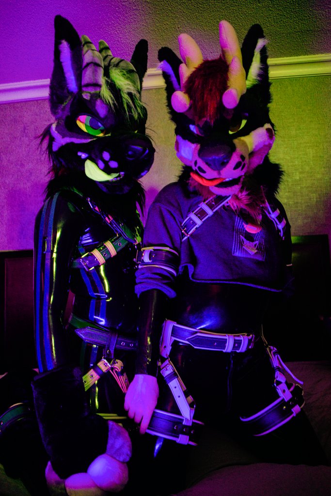 Varah Fox π FE? (@helltouchedfox) on Twitter photo π¦ + π¦ = Squeaky Shenanigans!!
We're looking at you, you're gonna be involved now that it's #SqueakySaturday. You have no choice ππ
π¦ <a href="/DerrTheDeerFox/">Derr</a>
πΈ <a href="/SparksTheFolf/">β‘οΈSparksβ‘οΈπΊ π¦</a>
πͺ‘ <a href="/MadeFurYou/">Made Fur You</a> / <a href="/MFYAfterDark/">MFY AfterDark.</a> π¦ + π¦ = Squeaky Shenanigans!!
We're looking at you, you're gonna be involved now that it's #SqueakySaturday. You have no choice ππ
π¦ <a href="/DerrTheDeerFox/">Derr</a>
πΈ <a href="/SparksTheFolf/">β‘οΈSparksβ‘οΈπΊ π¦</a>
πͺ‘ <a href="/MadeFurYou/">Made Fur You</a> / <a href="/MFYAfterDark/">MFY AfterDark.</a>
