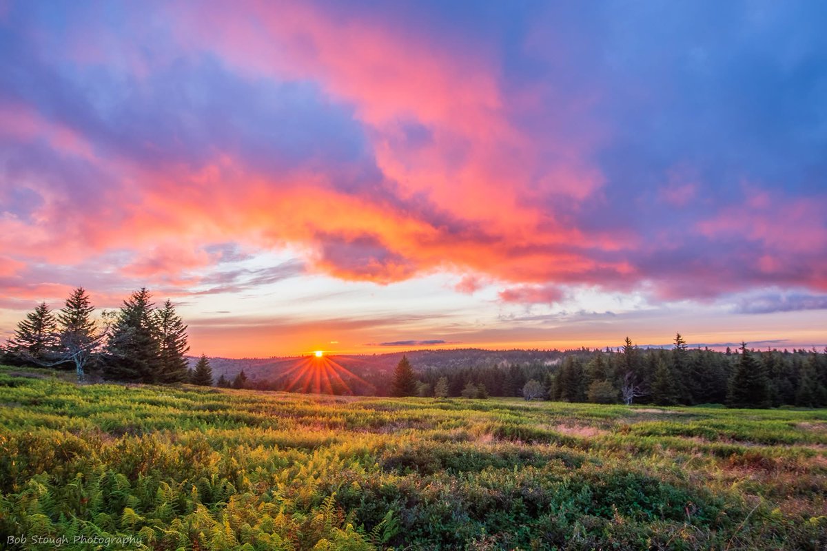Good Morning, West Virginia! 

📍Grant County, West Virginia