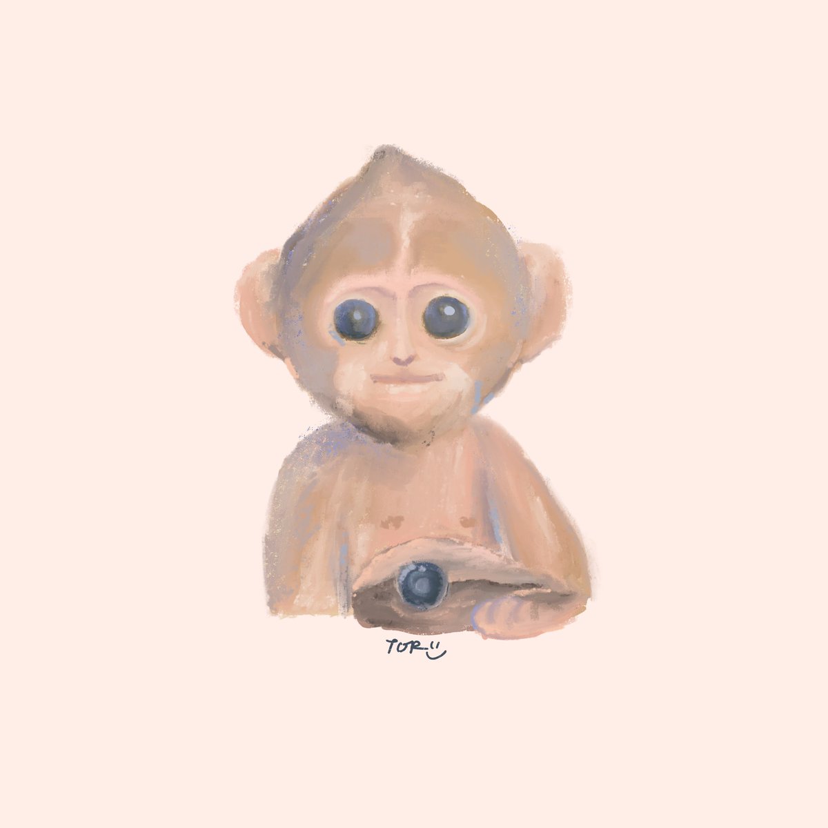 ”ลิงสายลับของเราเก็บหอยสายลับได้“ 555555555555555 น้องน่ารักกกกกก