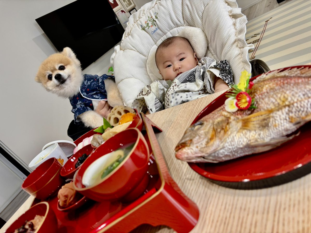 goe0606's tweet photo. 一緒にお食い初めをしたごえ https://t.co/Ch5p7YaxWA