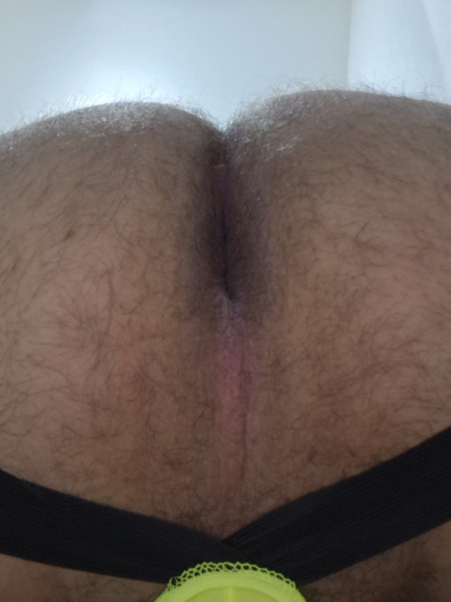 marceloponcho's tweet photo. @bearflix @BearFlix2 @BearFlix3 @herculesclub1 @BrunoxTheBear @TheBlowers https://t.co/xdPd3W7bnl
