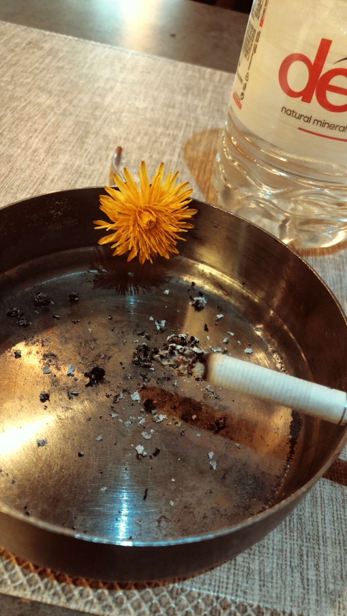 thelosstkiddoo's tweet photo. informata t'panevojshme
pom bajn ditën mu me shty
sikur filmi i fundit 
se storja jon u kry
skom kurgjo me veti
veq menimet m'jesin n'kry
i kom une do tasks
qato tash me mujt mi kry https://t.co/4KGxAOTsSQ
