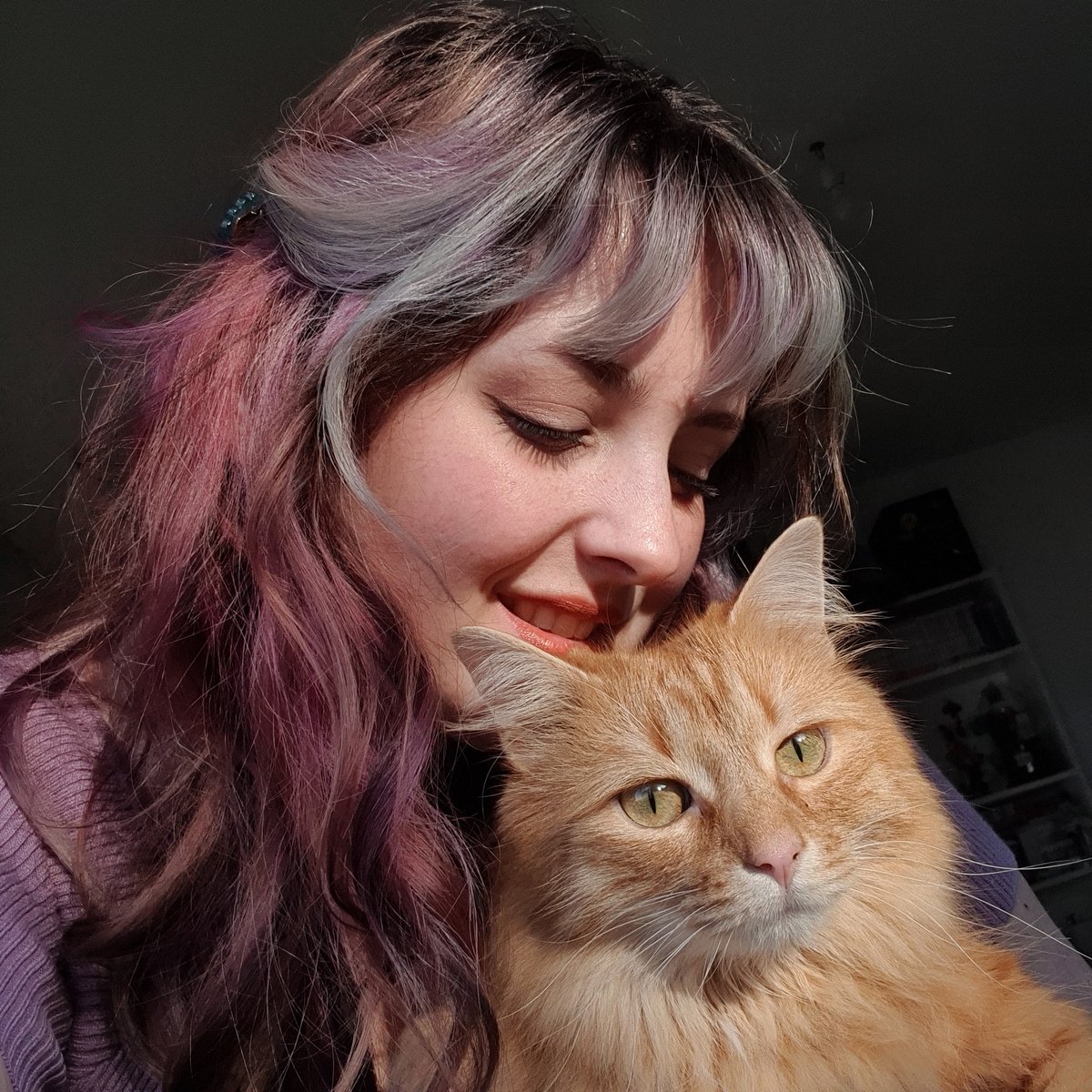 _Lunapie_'s tweet photo. Ce bébé chat 🥺🧡 https://t.co/2XzibNFZxb
