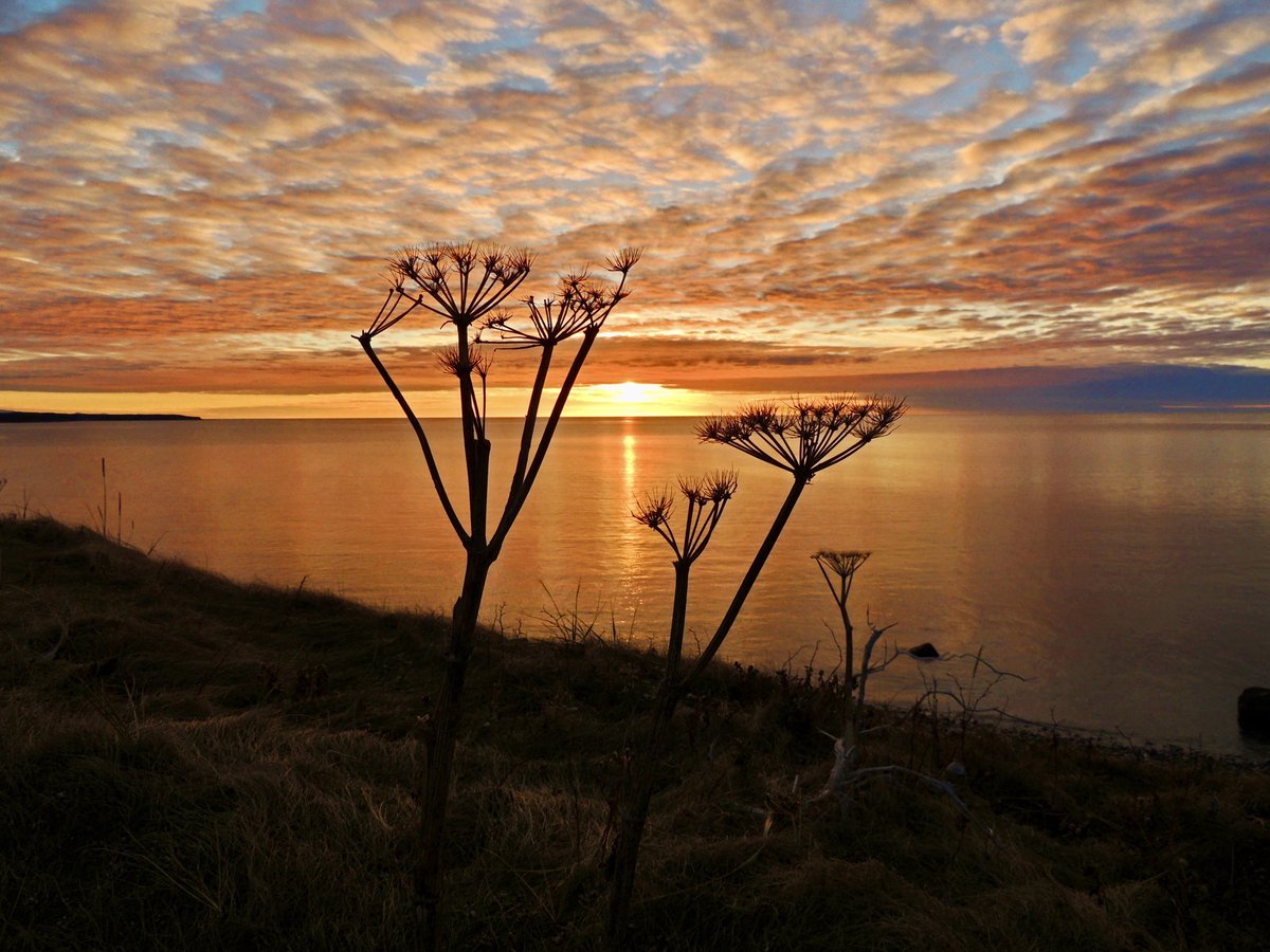 A beautiful sunset last night along the ocean following a nice sunny spring day. I am glad to see another winter over with again.