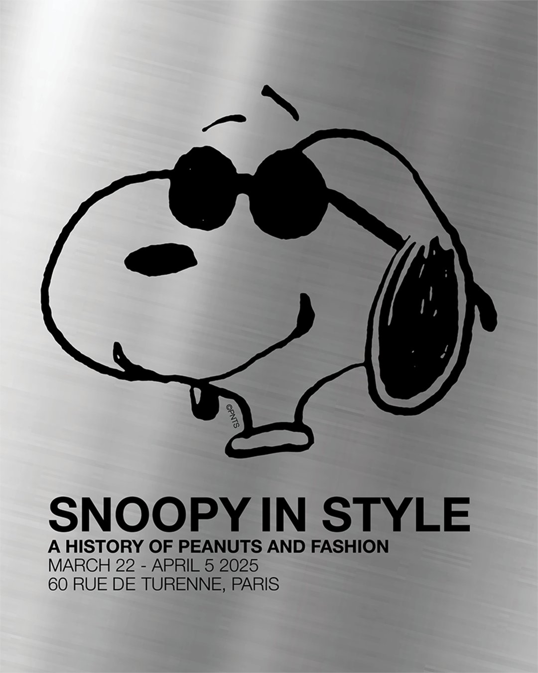SNOOPYINFASHION/スヌーピーインファッション　写真集 レア Snoopy in Fashion スヌーピーインファッション 本 レア - メルカリ