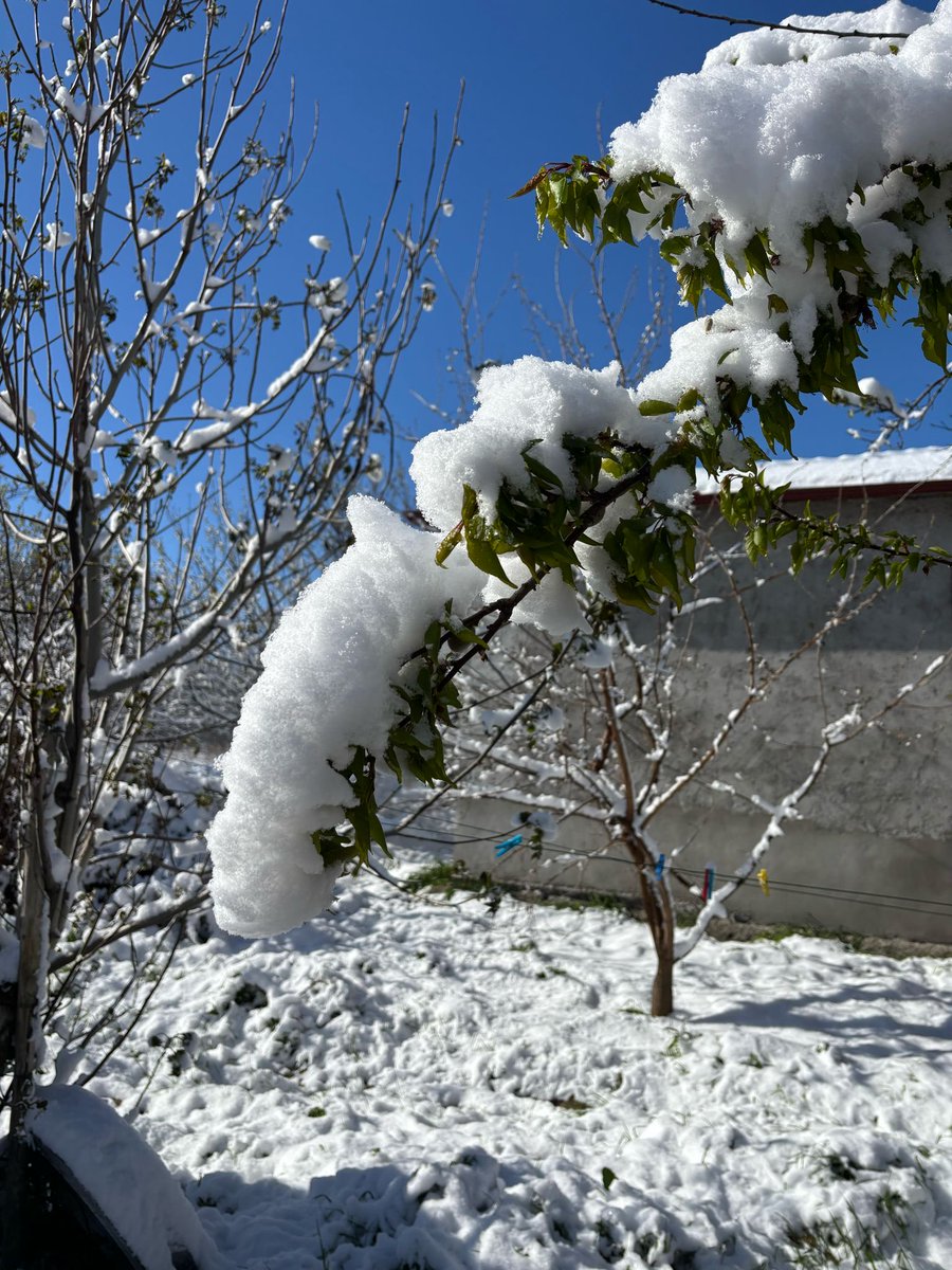 Sen nisansın kendine gel…🤪