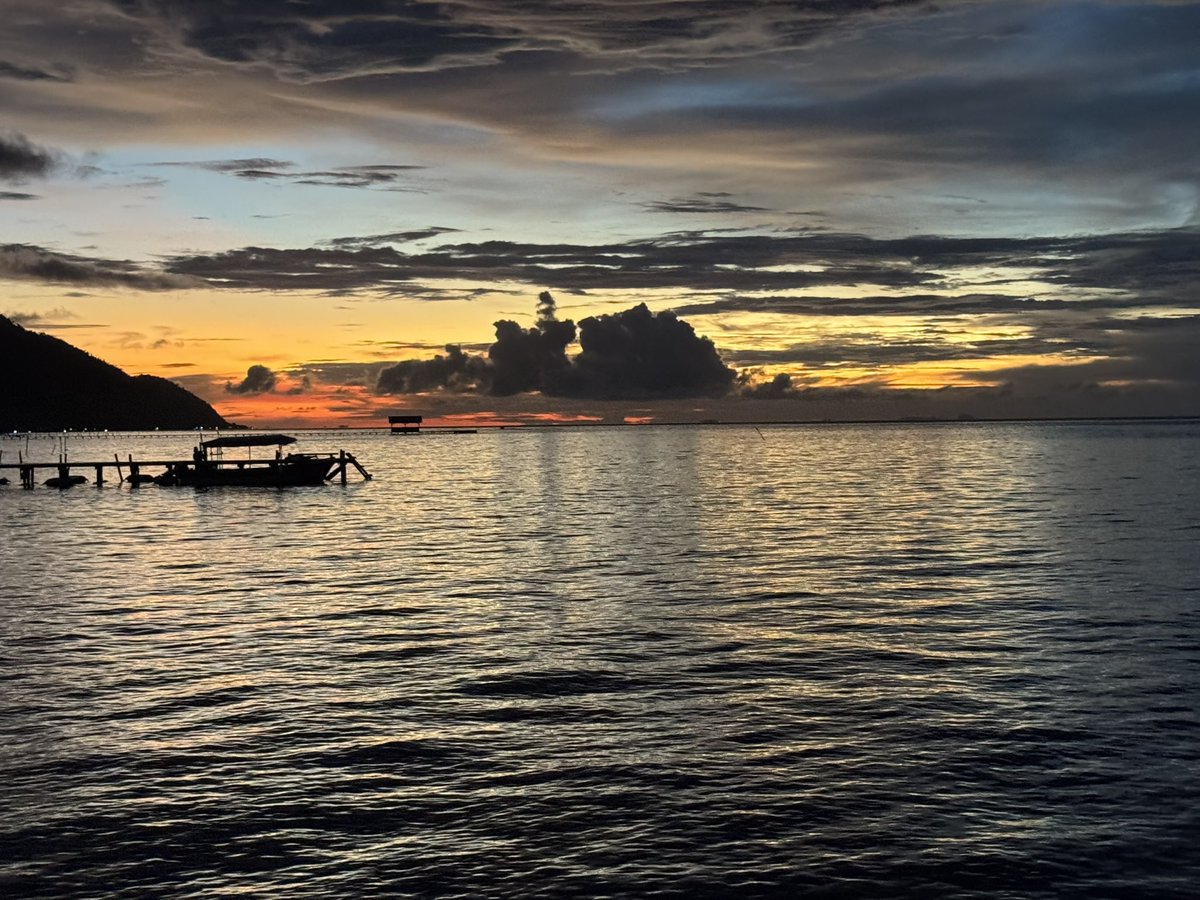 TRAⓋEL Mush ™ tweet media