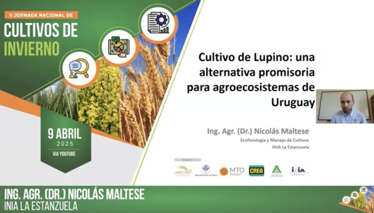 Maltese_Nico's tweet image. Potencial del cultivo de #Lupino como herramienta para la intensificación sostenible y diversificación de los sistemas.. 🌱
@INIA_UY
Enlace a YouTube
youtu.be/KBQ7uApXUGc?si…