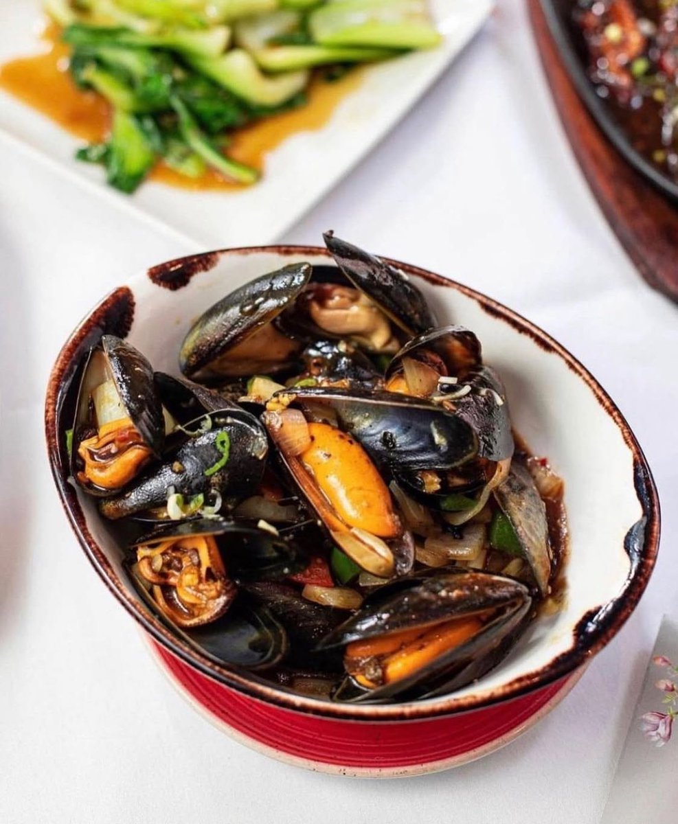 Amber Regent tweet media