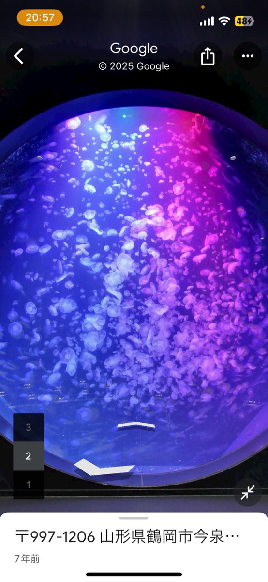 ねえ、みんな知ってた？
水族館の中までGoogleマップで入れるんだって…

クラゲ好きの聖地、加茂水族館さんも…！！

kamo-kurage.jp/oshirase/post-…

maps.app.goo.gl/PGvEocHt9fpf1B…