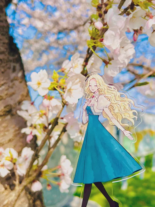 お花見しました 