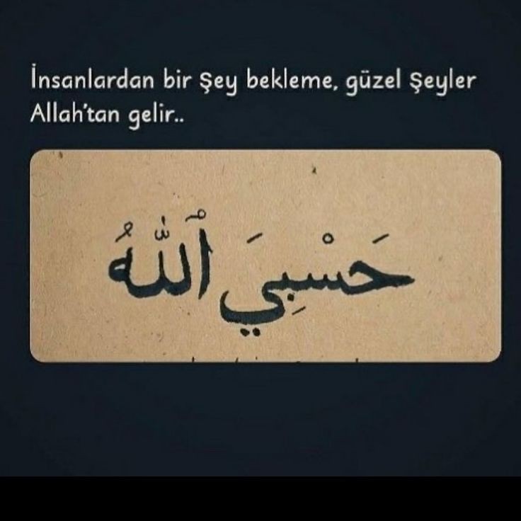 gazatr's tweet photo. https://t.co/LhBv1Z3LOh