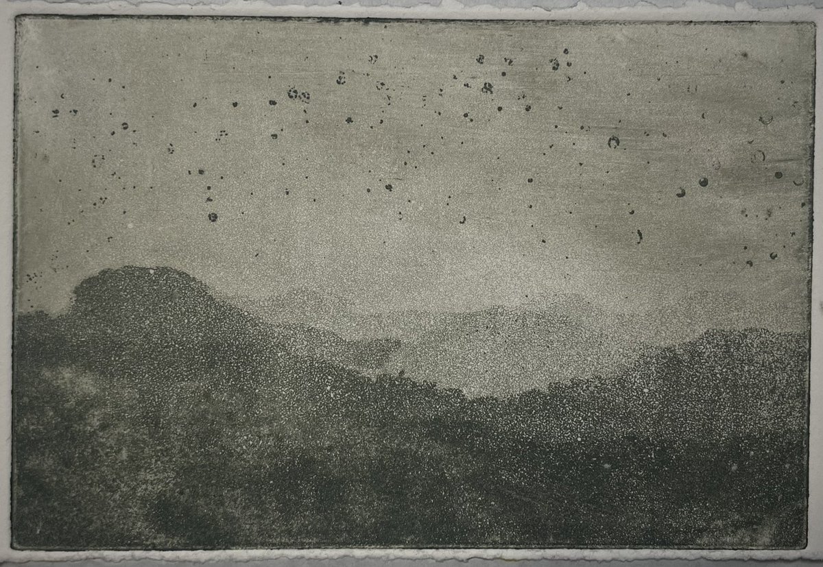requiemforwhite's tweet photo. "نهفته"
2025
#aquatint #chalcography https://t.co/S979rz5ic7