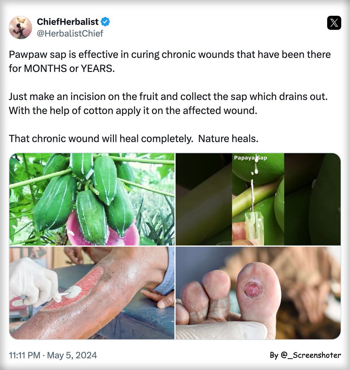 Pawpaw (papaya) sap is a fantastic remedy for chronic/ulcer wounds. 

Nature heals.