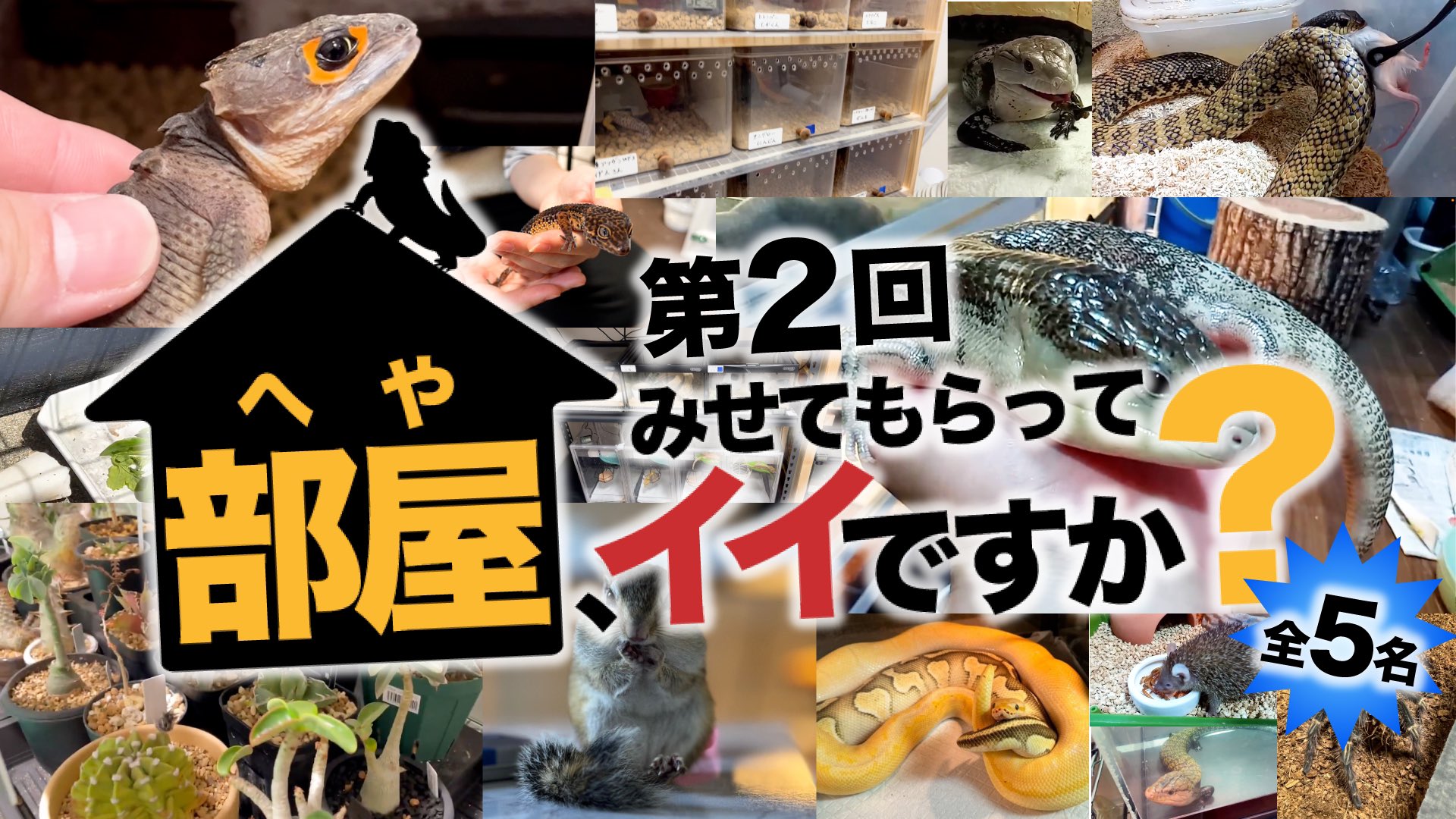 冷凍コオロギ価格表 ‼ | Kennyイオンモール多摩平の森