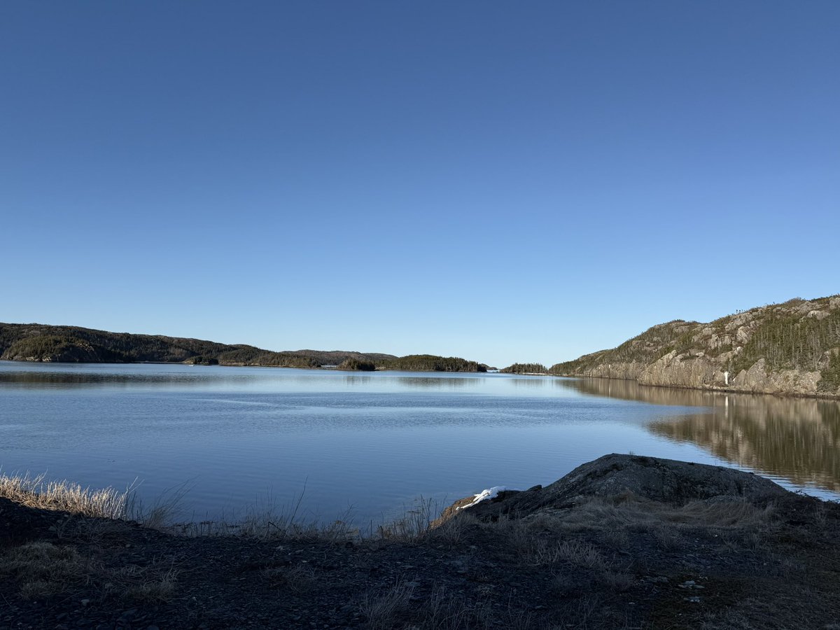 Happy Saturday from the Bay