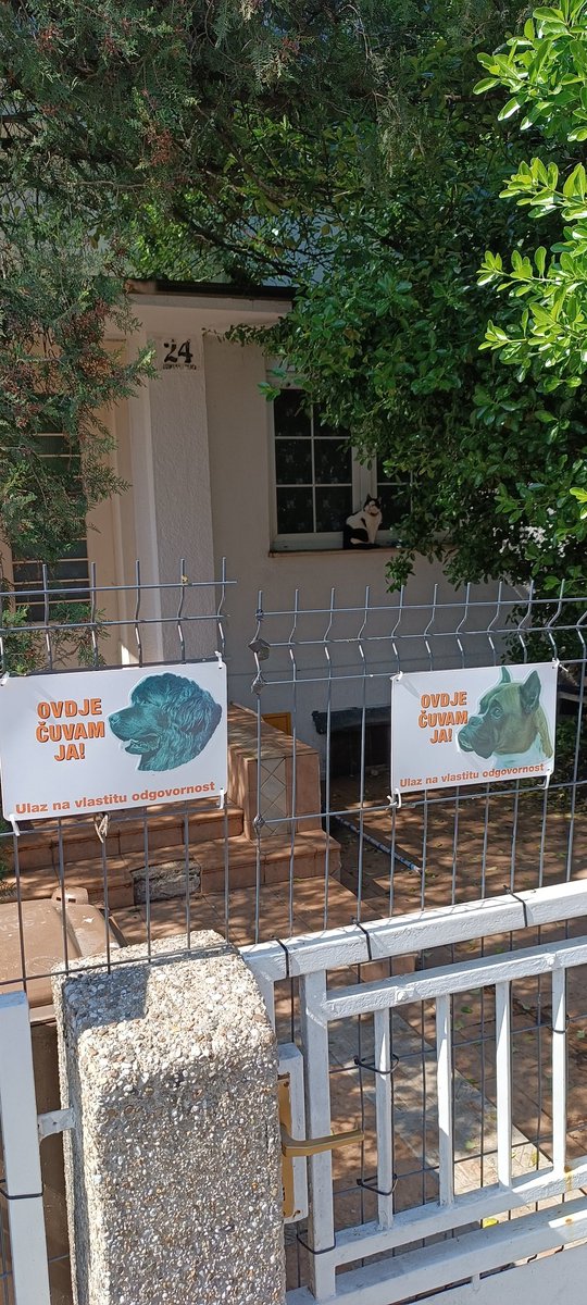 Druga uz volovčićevskog psa čuvara 🤭