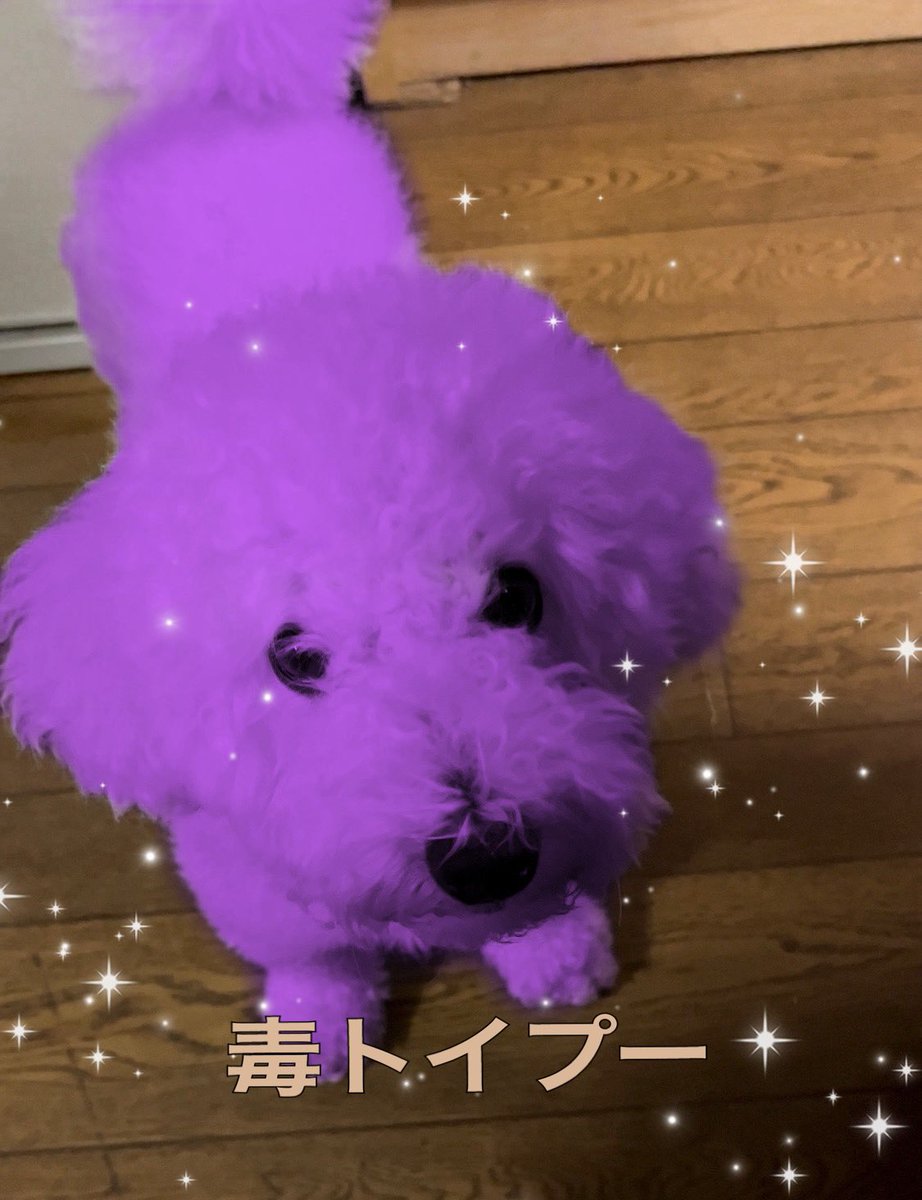 hogarakanainu's tweet photo. #大阪万博での展示の目玉 https://t.co/g6cWqcTBzZ