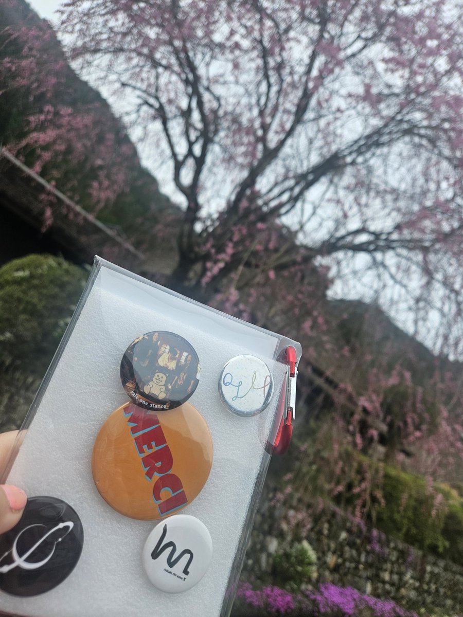 anko_to_daifuku's tweet photo. 推しと花見！#レイル　#メルシー　#kunel #QLIP #らくだのこぶ　#curiocity https://t.co/uwnVmCISkz