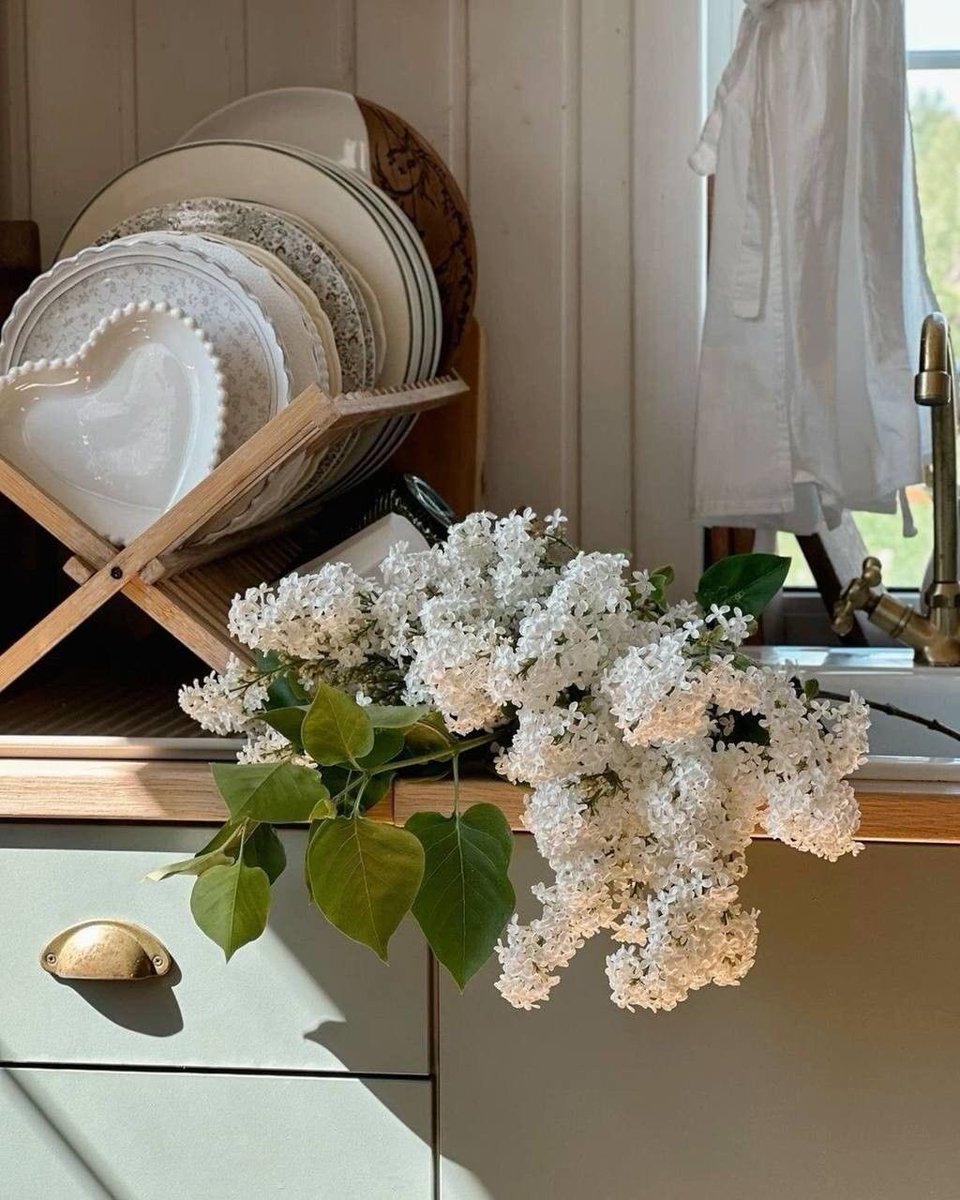 scarlettwants's tweet photo. have a happy weekend 💭💐 https://t.co/cQt1a7xO0t