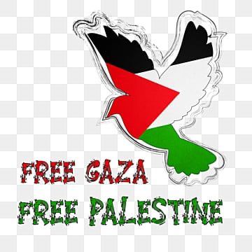 d_abaidullah's tweet photo. From Lahore to Karachi, from every corner of Pakistan and beyond—
we are, and we will raise our voices for Gaza.
Join us now.
#RiseForGazaNow https://t.co/pZxOZPHi1F