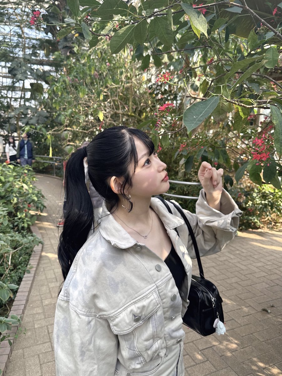 りにゃ 2025.3.30 高田馬場 アイゲキ フレッシュアイドルSP丸上ひまりちゃん